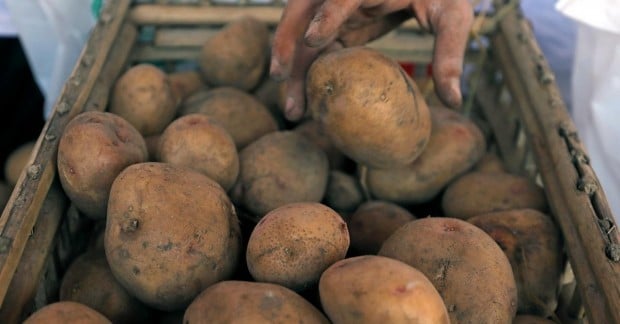 в Минагрополитики сделали заявление — УНИАН