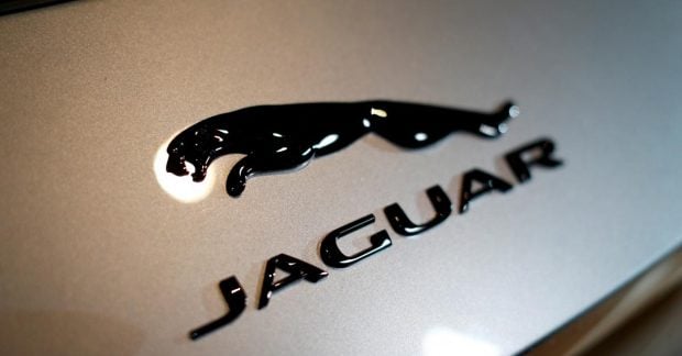 радикальный ребрединг Jaguar возмутил пользователей Сети — УНИАН