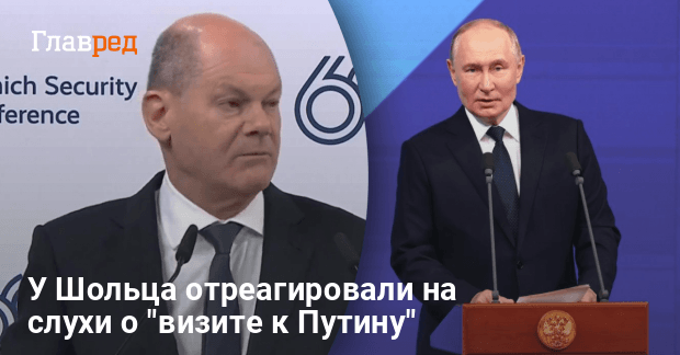 Переговоры с Путиным — У Шольца отреагировали на слухи о «визите к Путину»