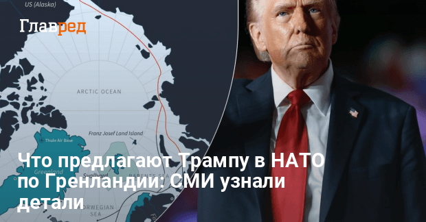 Планы Трампа по Гренландии — что предлагают в НАТО