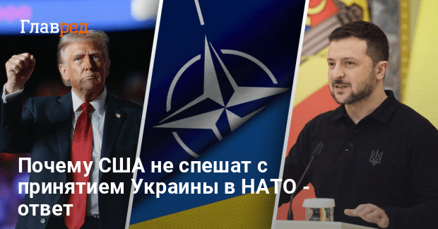 Вступление в НАТО — почему США не спешат с принятием Украины в Альянс