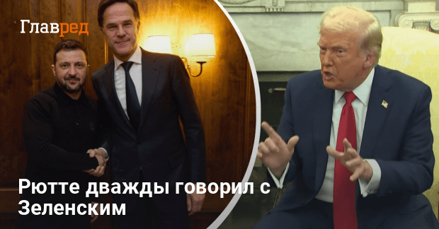 Ссора Зеленского и Трампа — генсек НАТО посоветовал Зеленскому