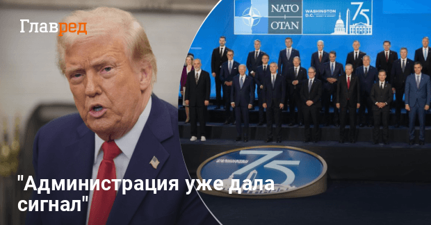 Статья НАТО о коллективной обороне может быть отменена: что задумал Трамп