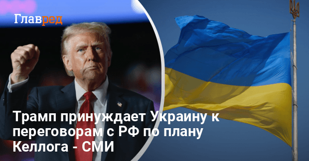 Мирные инициативы Трампа — какую тактику запустили США