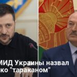 Лукашенко новости — спикер МИД Украины назвал лидера Беларуси «тараканом»