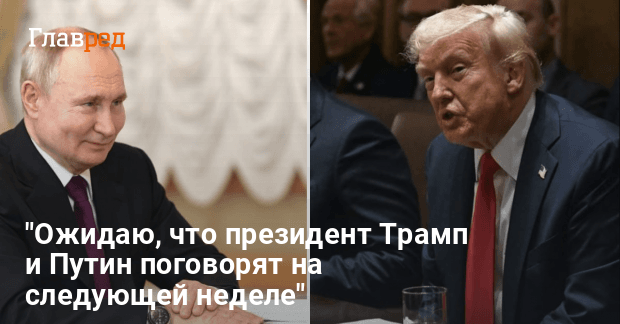 Переговоры Путина и Трампа — когда состоится разговор