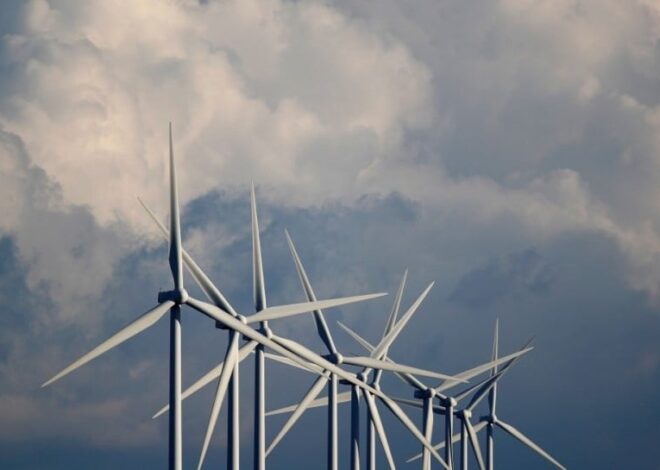 ДТЭК Ахметова построит крупнейшую в Европе ветровую электростанцию в Полтавской области за €1,2 млрд