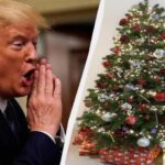 Дональд Трамп поставил под угрозу Рождество в США — УНИАН
