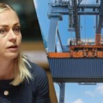Российский импорт — Элина Валтонен предложила ввести пошлины против РФ — УНИАН