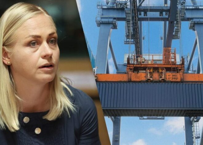 Российский импорт — Элина Валтонен предложила ввести пошлины против РФ — УНИАН