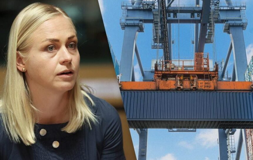 Российский импорт — Элина Валтонен предложила ввести пошлины против РФ — УНИАН