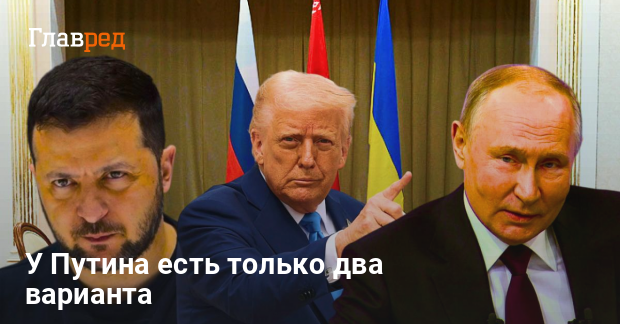 Переговоры в Турции 15 мая — что будет, если прилетит Путин