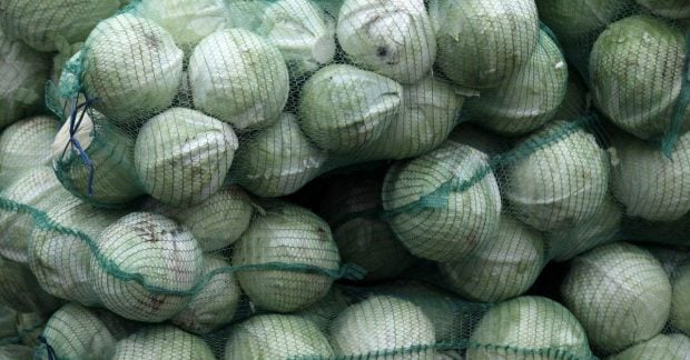 Сколько стоит белокочанная капуста в Украине
