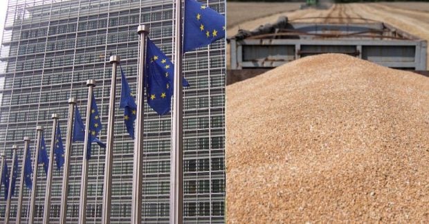 Торговый безвиз — ЕС возобновит квоты на импорт агропродукции из Украины — УНИАН