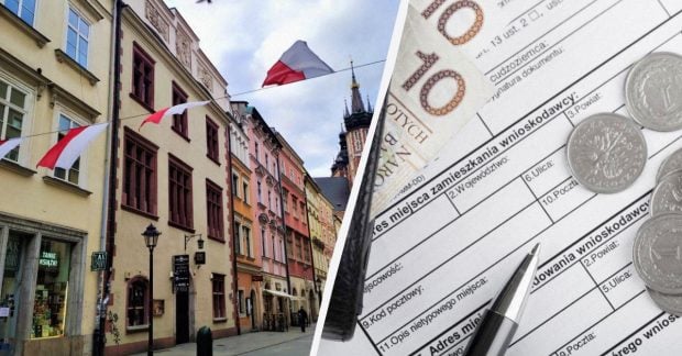 Самые высокооплачиваемые профессии в Польше 2025