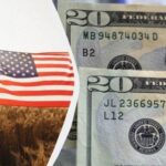 Минимальная зарплата в США 2025
