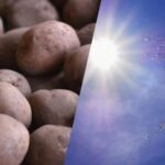 Какая будет погода в июне 2025 года