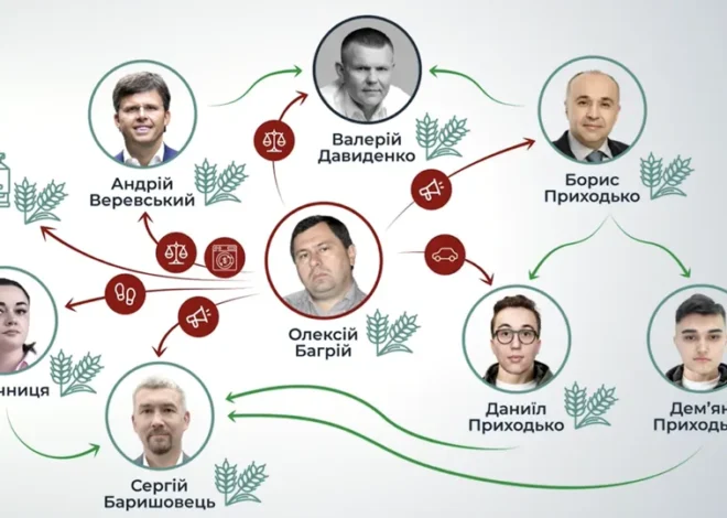 «Шлях» до офшорів — як зникнення бізнесмена Багрія вивело на слід впливової політичної павутини