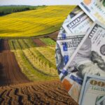 Зниження вартості землі, погіршення інвестклімату — експерти пояснили, до чого можуть призвести ініціативи Мінагропроду