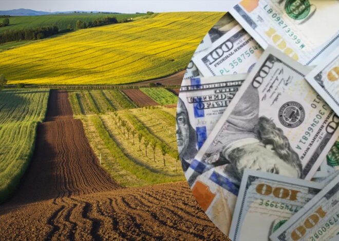 Зниження вартості землі, погіршення інвестклімату — експерти пояснили, до чого можуть призвести ініціативи Мінагропроду