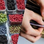 Цены на продукты в Украине