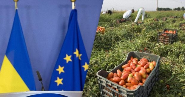 Экспорт агропродукции Украина — Киев и ЕС обсуждают новые условия — УНИАН