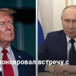 Встреча Трампа и Путина — планируется новый саммит для мира в Украине