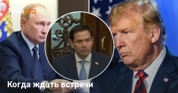 Встреча Трампа и Путина — когда состоится важный разговор