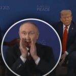 Все начали кричать, журналистов выгнали: жесткий балаган на встрече Путина и Трампа
