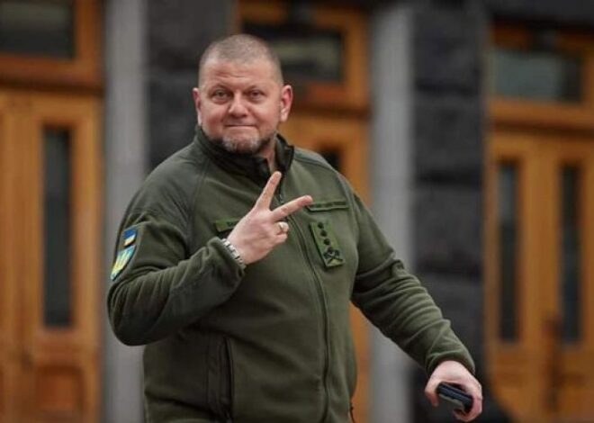 Чутки про виборчий штаб Залужного: суспільство вимагає роз’яснень