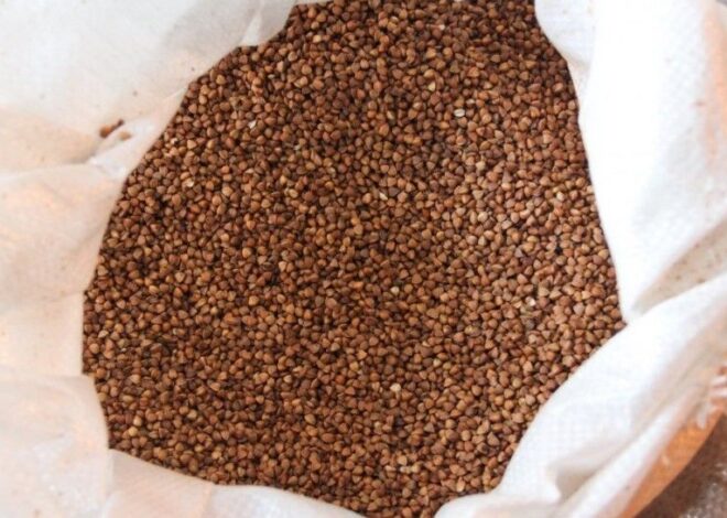 Гречка резко подорожала – сколько стоит 1 кг гречки в Украине