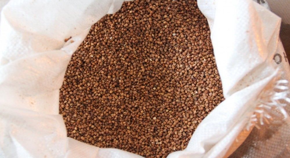 Гречка резко подорожала – сколько стоит 1 кг гречки в Украине