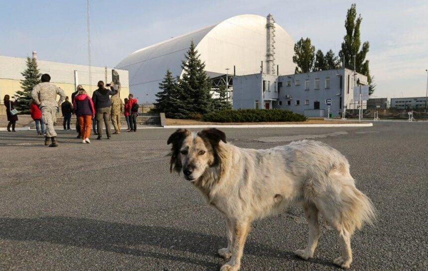 Чернобыльская АЭС – как РФ и Беларусь затрудняют работу атомщиков