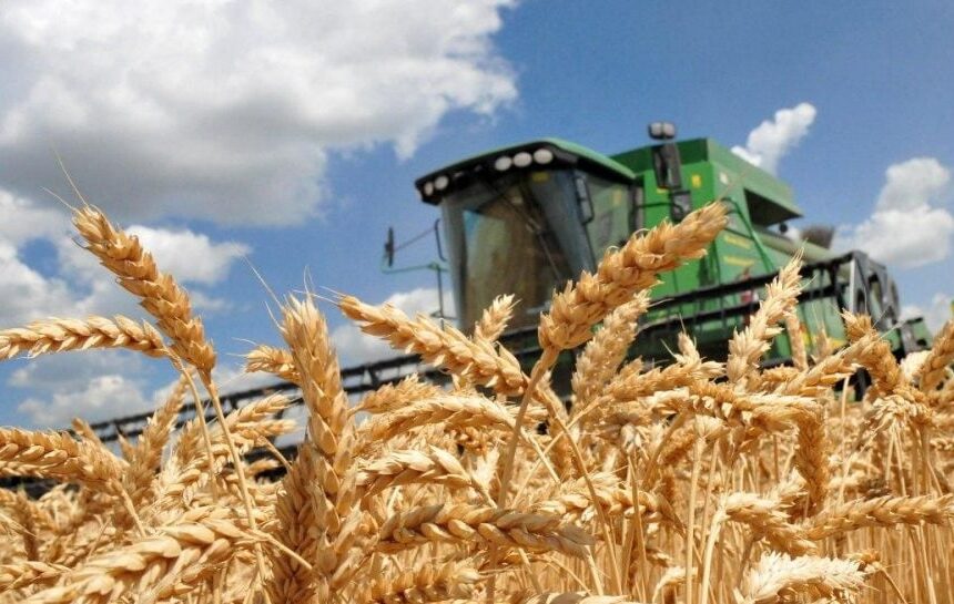 Украина будет поставлять еду в «горячие точки» Африки: аграрии раскрыли подробности