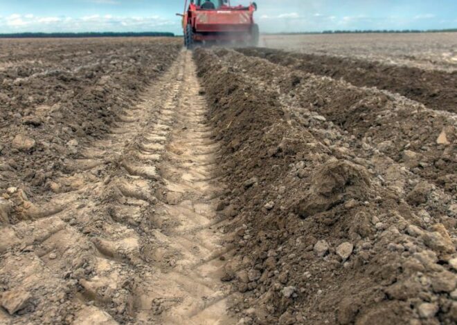 Рынок земли в Украине – сколько стоит 1 гектар земли при продаже