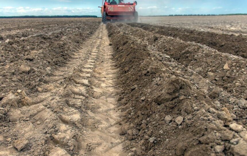 Рынок земли в Украине – сколько стоит 1 гектар земли при продаже