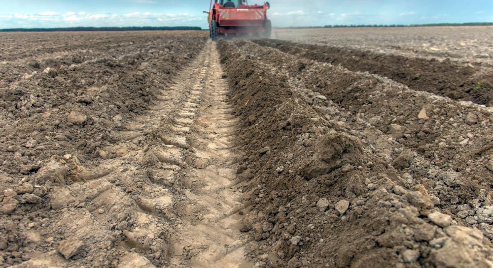 Рынок земли в Украине – сколько стоит 1 гектар земли при продаже