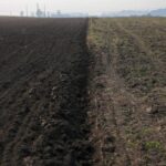 Цена за гектар в Украине изменилась – сколько стоит 1 га в Украине