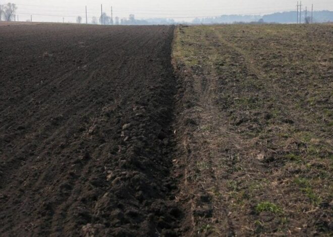 Цена за гектар в Украине изменилась – сколько стоит 1 га в Украине