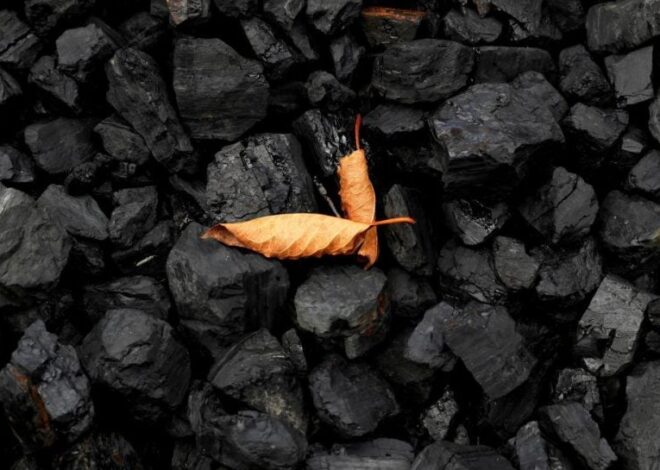 Теневое вмешательство в работу ЦОФ «Червоноградская» и хищение угля ставят под угрозу подготовку к зиме, – нардеп