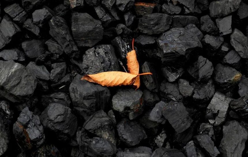 Теневое вмешательство в работу ЦОФ «Червоноградская» и хищение угля ставят под угрозу подготовку к зиме, – нардеп