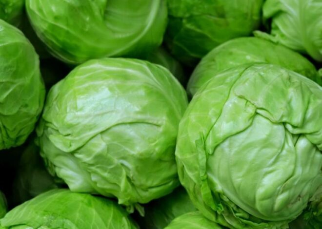 Цены на капусту в Украине снижаются – сколько стоит 1 кг капусты в Украине