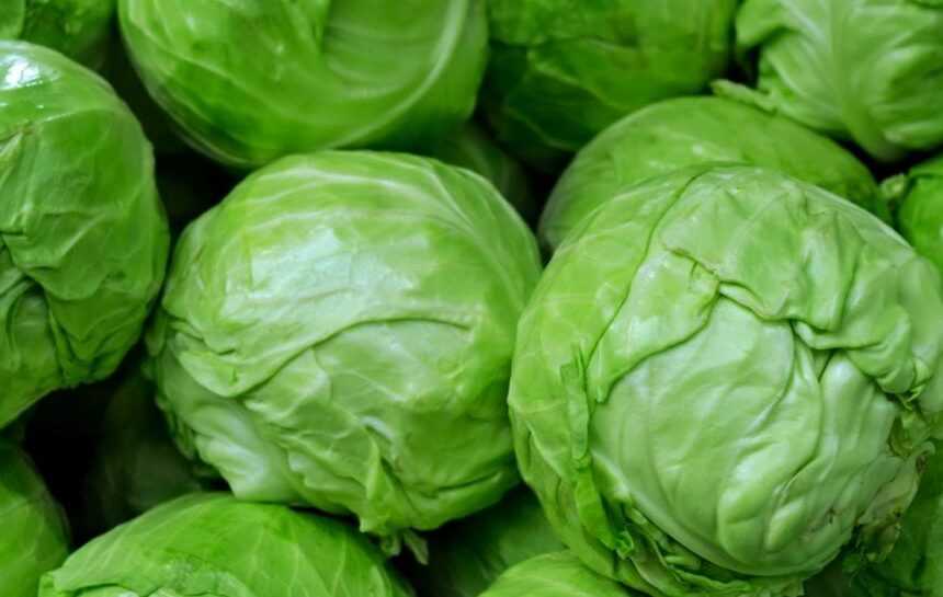 Цены на капусту в Украине снижаются – сколько стоит 1 кг капусты в Украине