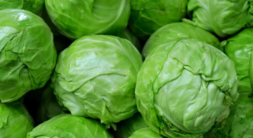 Цены на капусту в Украине снижаются – сколько стоит 1 кг капусты в Украине