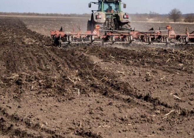 Посевная 2026 – Аграрии могут сократить расходы на посевную
