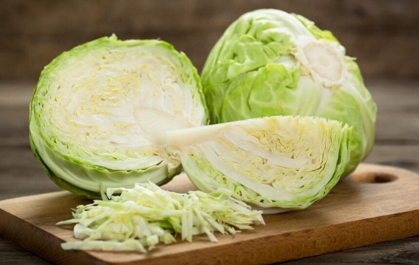 Цены на капусту взлетели – какая цена на капусту сегодня