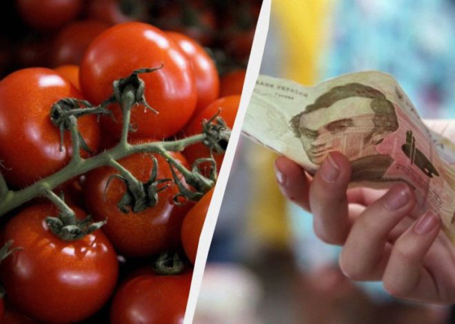 Томаты в Украине резко подорожали – сколько стоит килограмм помидоров в Украине