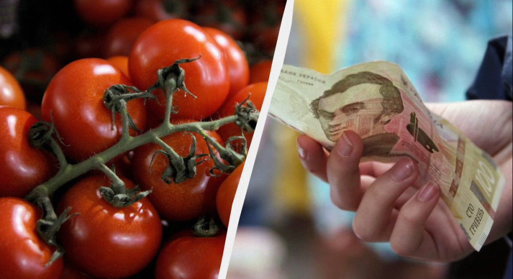 Томаты в Украине резко подорожали – сколько стоит килограмм помидоров в Украине