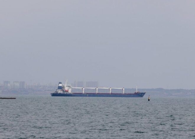 Американская торговая палата раскритиковала правительственный законопроект № 14344 из-за угрозы монополизации портовой отрасли