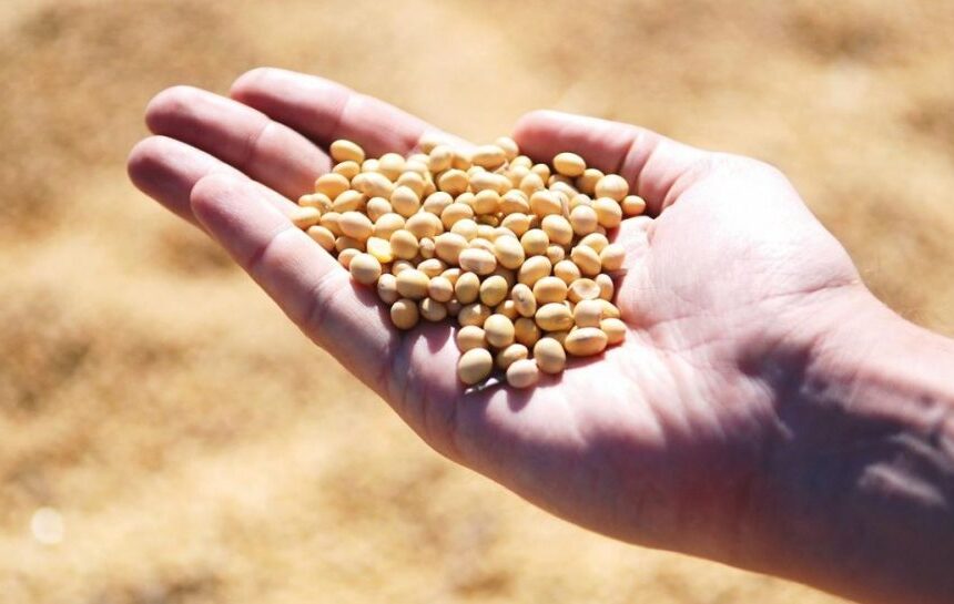 Ближний Восток – война в Иране угрожает продовольственной безопасности